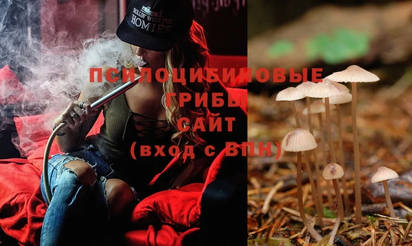 стаф Михайлов